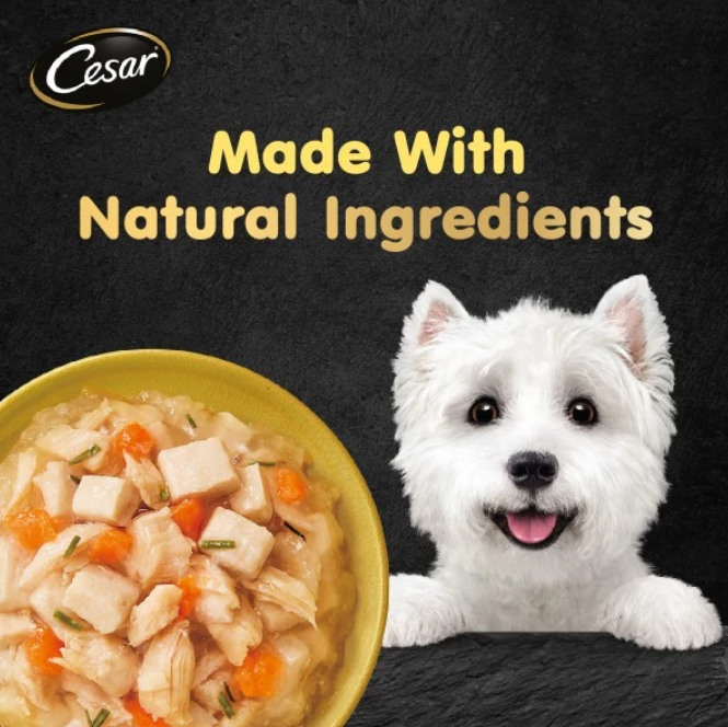 Cesar Assorted Natural Crafted/Premium Wet Dog Food Pouch 60g/70g (24-Pack)