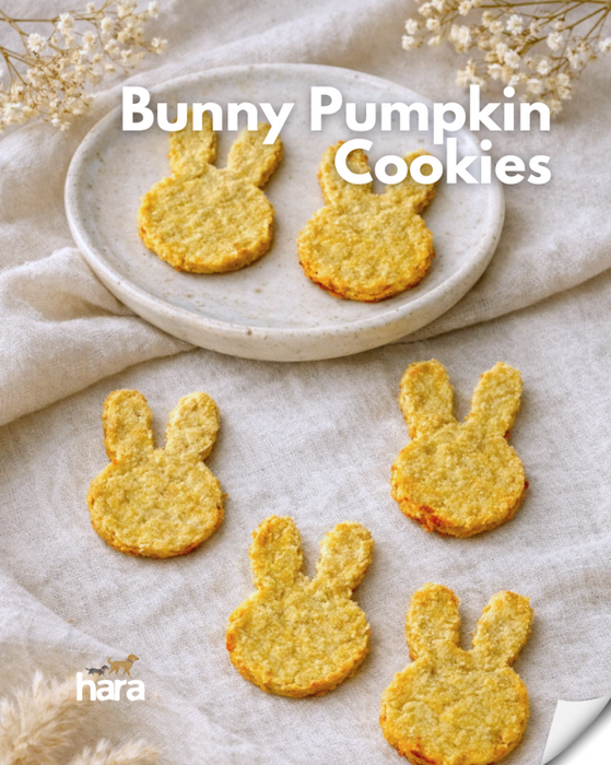 Hara Pets Easter Collection - Easter Egg/Goat Milk Candies Assorted/Goat Milk Cookies/Bunny Cookies