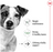 Royal Canin Mini Ageing Pouch Wet Dog Food 85g (12 Pouches)