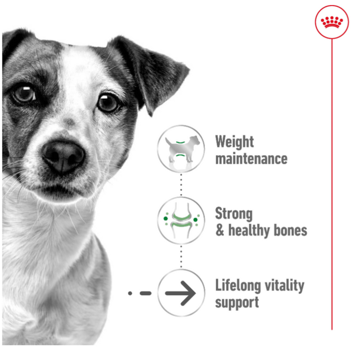 Royal Canin Mini Ageing Pouch Wet Dog Food 85g (12 Pouches)