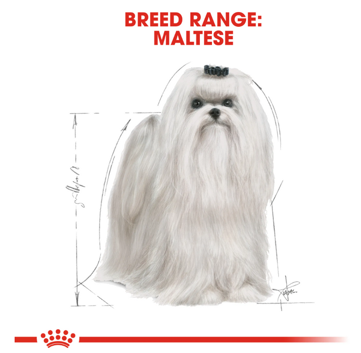 Royal Canin Maltese Dry Dog Food 1.5kg