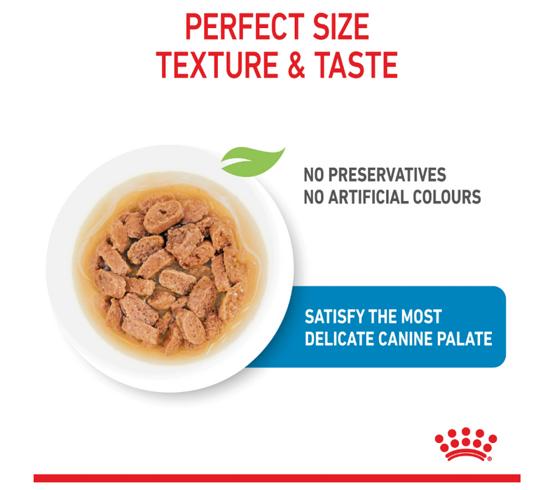 Royal Canin Mini Puppy Pouch Wet Dog Food 85g (12 Pouches)