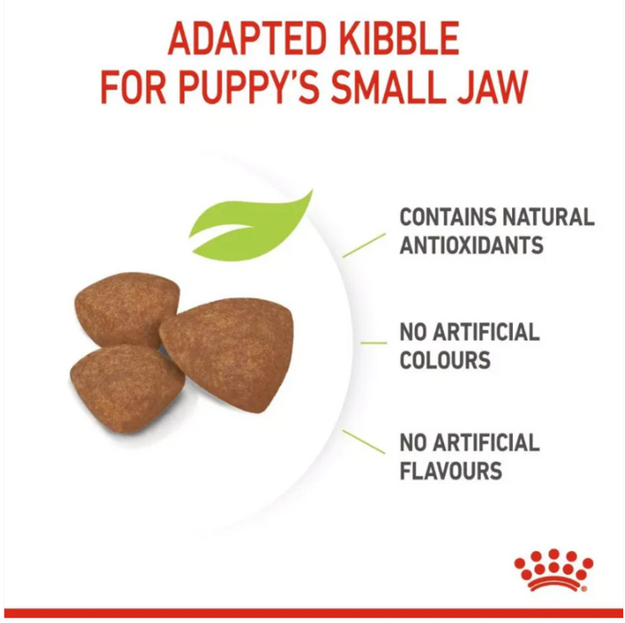Royal Canin Canine Mini Puppy Food (2 Sizes)