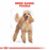 Royal Canin Canine Poodle Puppy Dry Dog Food 1.5kg