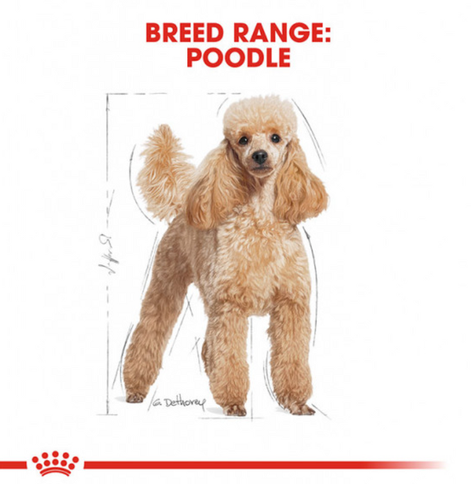Royal Canin Canine Poodle Puppy Dry Dog Food 1.5kg
