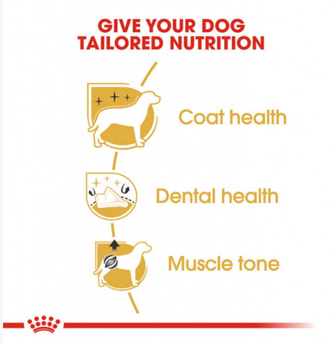 Royal Canin Canine Poodle Puppy Dry Dog Food 1.5kg