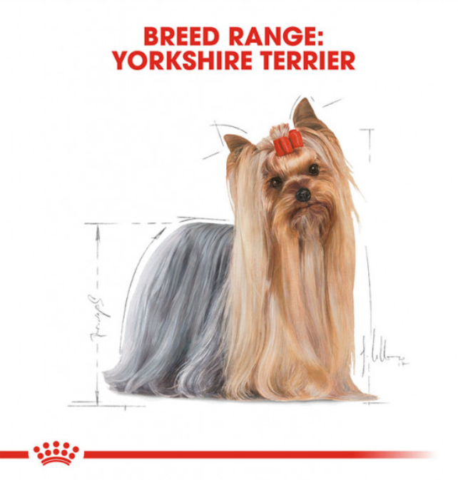 Royal Canin Canine Yorkshire Terrier Dry Dog Food 1.5kg