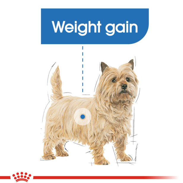Royal Canin Canine Mini Light Weight Care Dry Dog Food 1kg