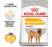 Royal Canin Medium Dermacomfort Dry Dog Food | 3kg & 12kg