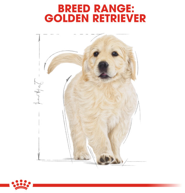 Royal Canin Canine Golden Retriever Dry Puppy Food 3kg
