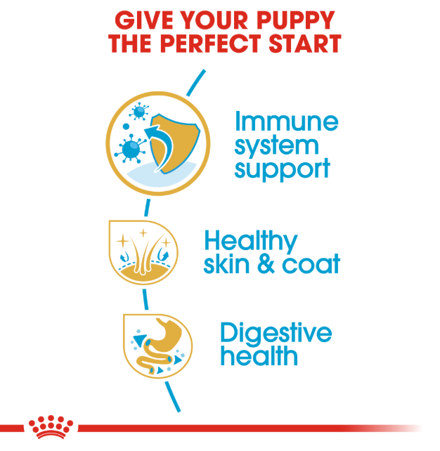 Royal Canin Canine Golden Retriever Dry Puppy Food 3kg