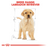 Royal Canin Labrador Puppy Dry Food 3kg