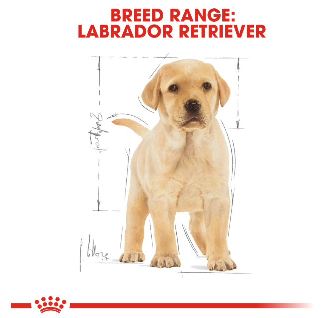 Royal Canin Labrador Puppy Dry Food 3kg
