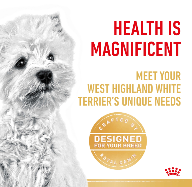 Royal Canin West Highland White Terrier Adult Dog Dry Food 3kg