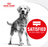 Royal Canin Medium Light Weight Care Dry Dog Food 3kg