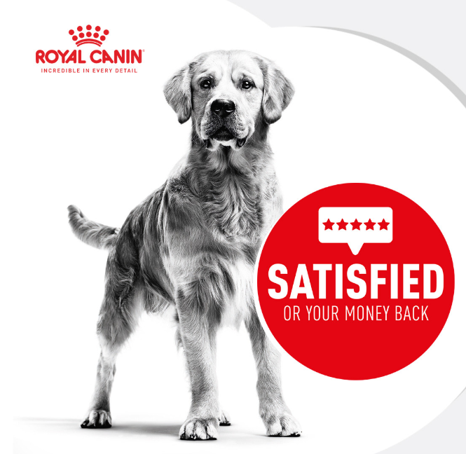 Royal Canin Medium Light Weight Care Dry Dog Food 3kg