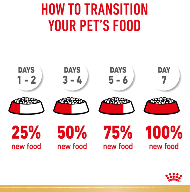 Royal Canin Canine Pug Dry Dog Food 1.5kg