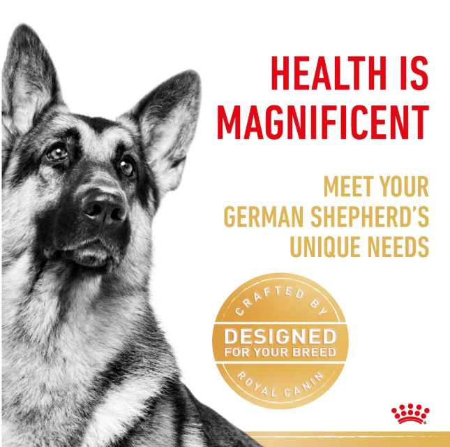 Royal Canin Canine Adult German Shepherd 3kg