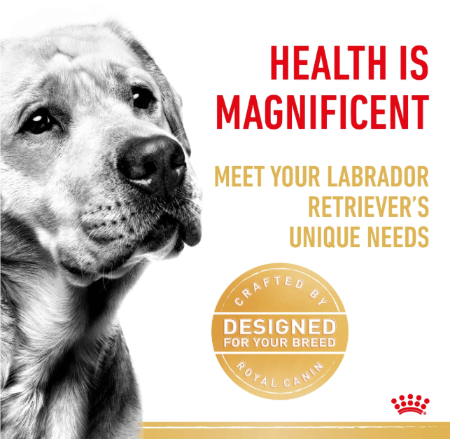 Royal Canin Labrador Adult Dry Dog Food 3kg
