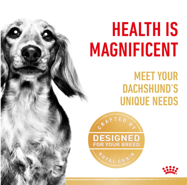 Royal Canin Dachshund 1.5kg