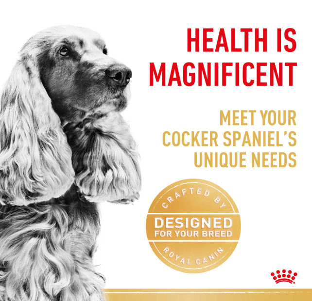 Royal Canin Cocker Spaniel Adult Dog Dry Food (3kg)