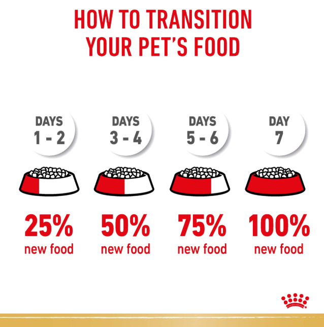 Royal Canin Cocker Spaniel Adult Dog Dry Food (3kg)