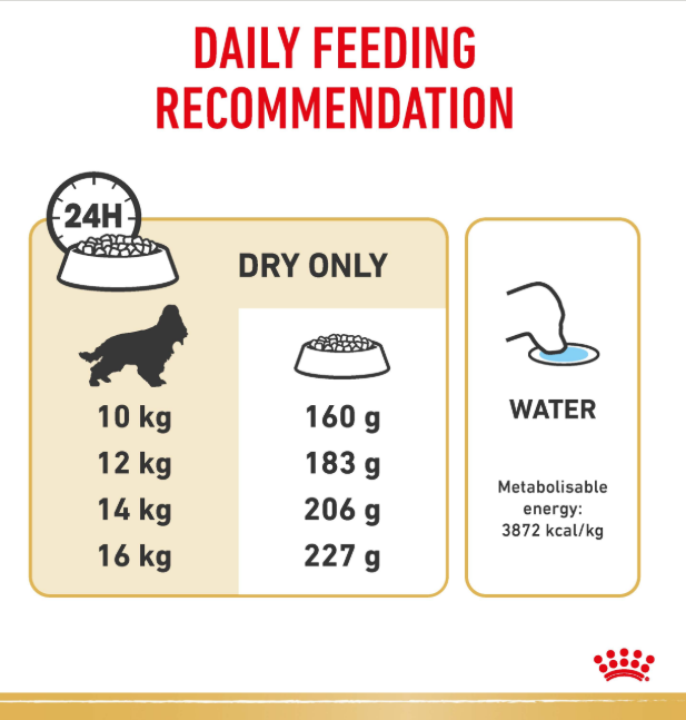 Royal Canin Cocker Spaniel Adult Dog Dry Food (3kg)