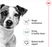 Royal Canin Canine Mini Adult Dry Dog Food - 2kg, 4kg & 8kg