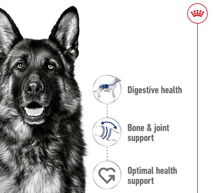 Royal Canin Maxi Adult Dry Dog Food 10kg