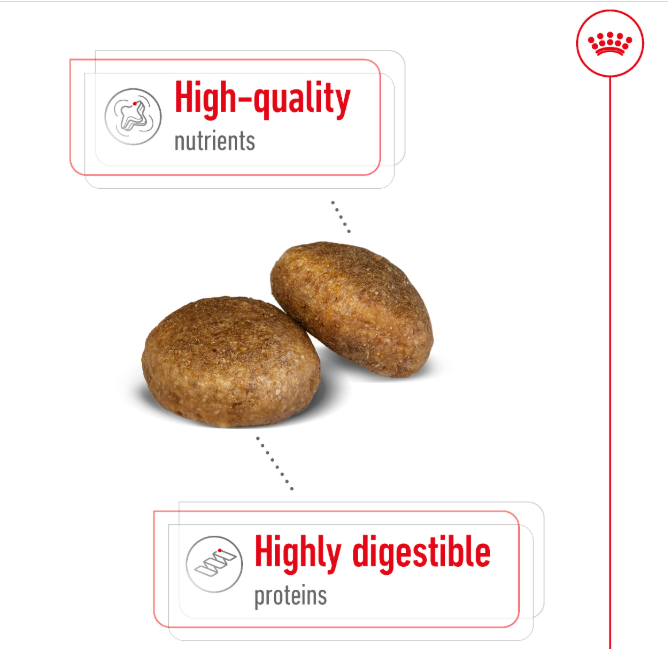 Royal Canin Maxi Adult Dry Dog Food 10kg