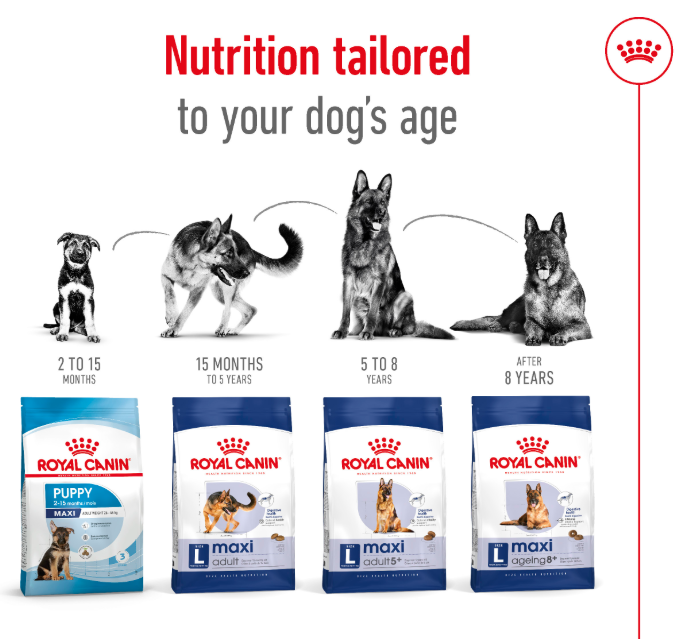 Royal Canin Maxi Adult Dry Dog Food 10kg