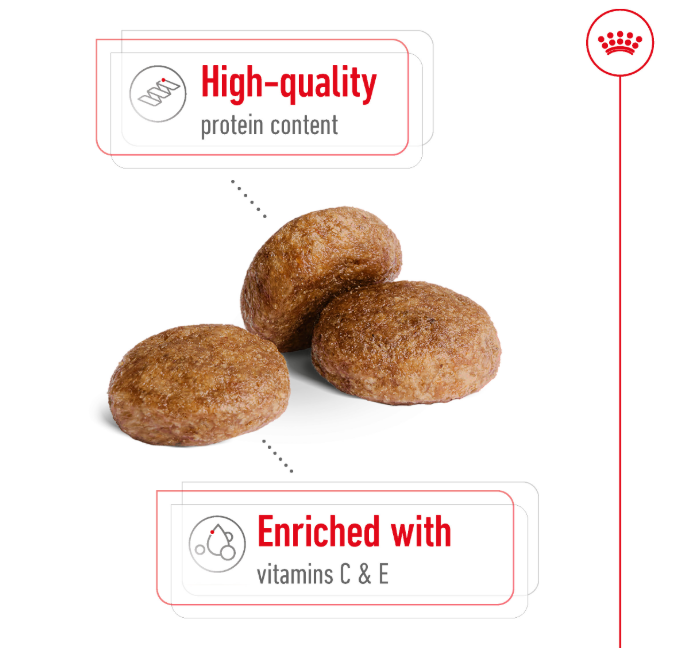 Royal Canin Canine Medium Adult +7 (Senior) Dry Dog Food 10kg