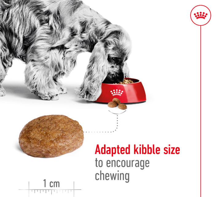 Royal Canin Canine Medium Adult Dry Dog Food (2 Sizes)