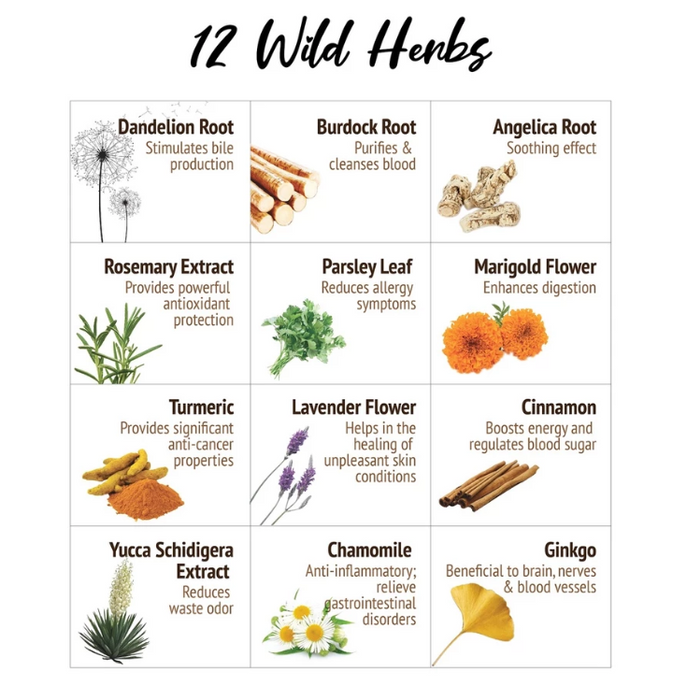 Nurture Pro Nourish Life Alaskan Salmon Formula For Indoor Kitten & Adult Cat Dry Food (2 Sizes)