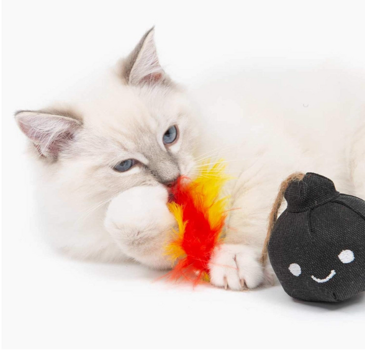 Catit® Play Pirates Catnip Toys - Plush Bomb