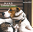 Nurture Pro Nano Colloidal Silver [Cats & Dogs] (2 Sizes)