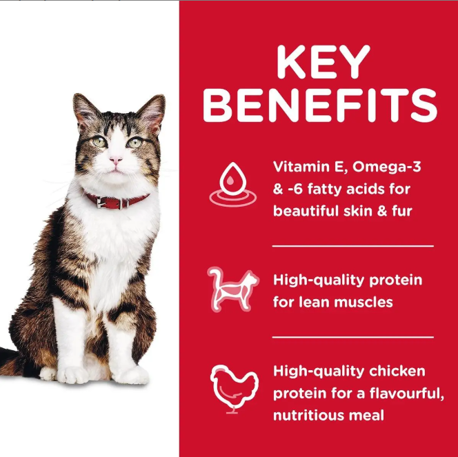 Hill's Science Diet Adult Hairball Control (3 Sizes)