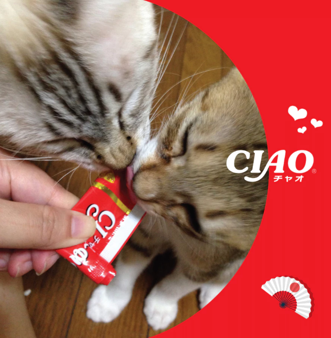 CIAO Churu Bee Festive Box Creamy 10g X10pcs