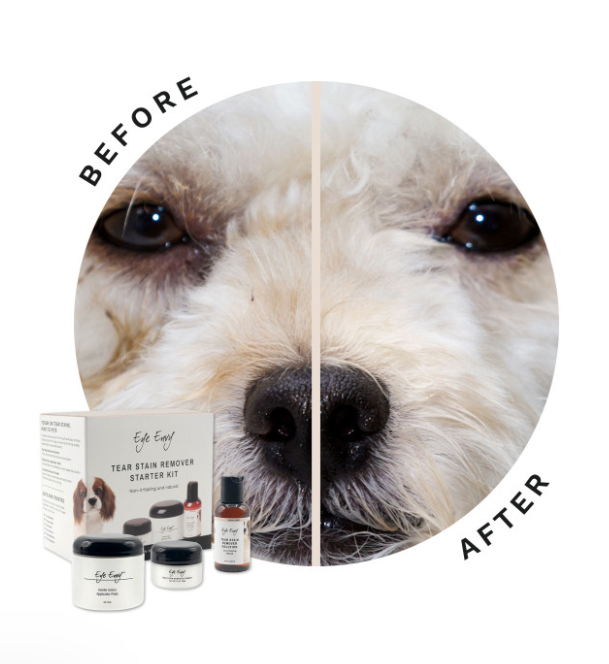 Eye Envy Solution For Dogs (3 Sizes)