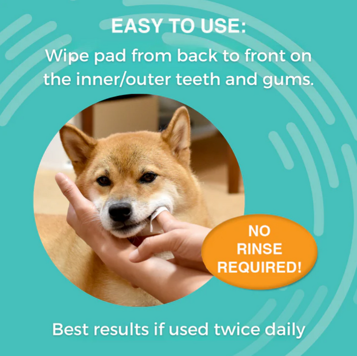 Nootie™ Antimicrobial Dental Wipes for Dogs 60 Wipes