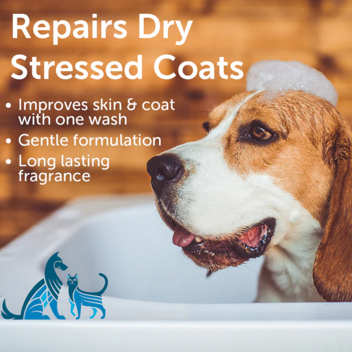 Nootie™ Nourishing Shampoo Sweet Pea & Vanilla 1 Gallon [Dogs & Cats]