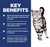 Hill's Science Diet Adult Indoor Cat Dry Food (2 Sizes)