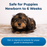 PetAg Esbilac Puppy Milk Replacer Powder 12oz