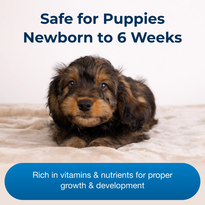 PetAg Esbilac Puppy Milk Replacer Powder 12oz
