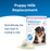 PetAg Esbilac Puppy Milk Replacer Powder 12oz