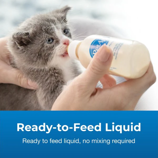 PetAg KMR Kitten Milk Replacer Powder (2 Sizes)