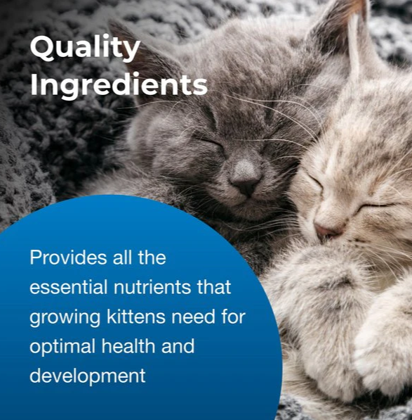 PetAg KMR Kitten Milk Replacer Powder (2 Sizes)