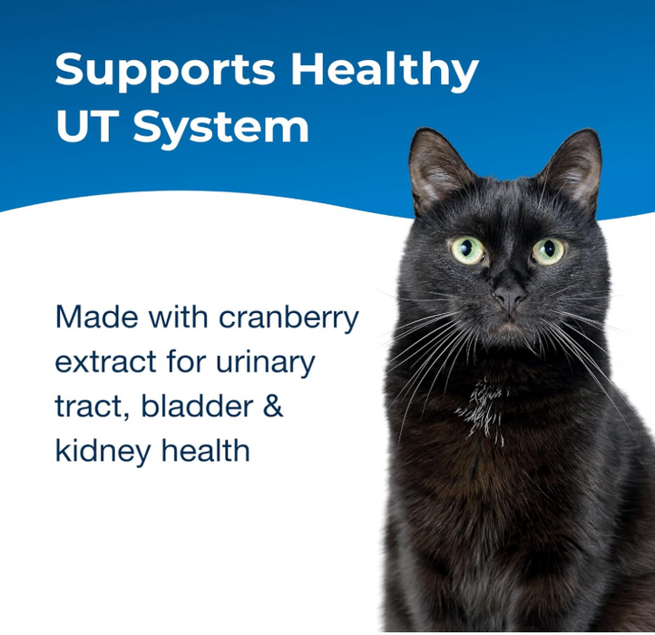 PetAg Urinary Tract Solution Gel Cat Supplement 3.5oz