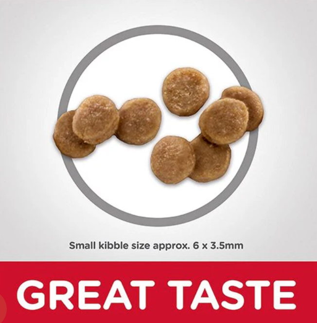 Hill's Science Diet Kitten Cat Dry Food (2 Sizes)