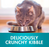Purina One Adult Urinary Care with Chicken Dry Cat Food 1.2kg